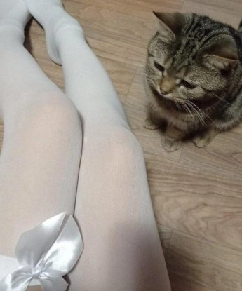 Лейла
